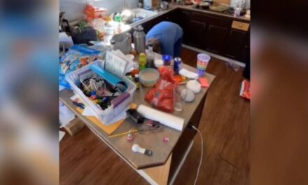 Mom Goes On “Cleaning Strike” To See How Long It Takes Her Husband To Start Picking Up