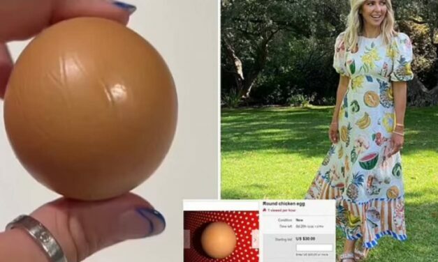 The Chicken Who Laid This Egg Has No Idea It’s Worth Thousands