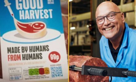 Channel 4 viewers sickened after watching new show about ‘human meat’