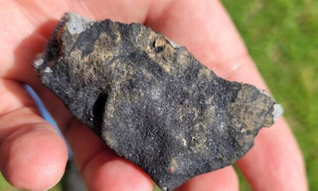 WOMAN REPORTEDLY STRUCK BY METEORITE WHILE DRINKING COFFEE