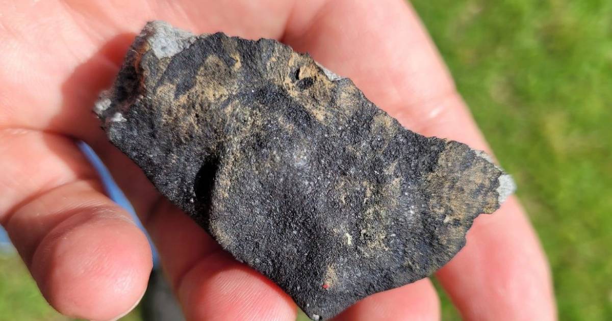 WOMAN REPORTEDLY STRUCK BY METEORITE WHILE DRINKING COFFEE