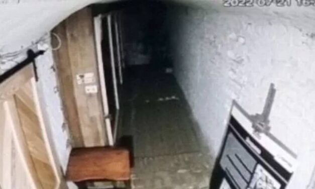 Military museum begs guests to stop having sex after multiple lusty couples caught on CCTV