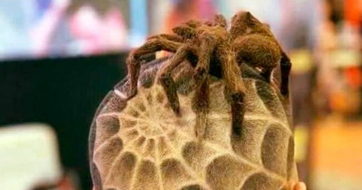 Barber Does Spider-Themed Haircuts