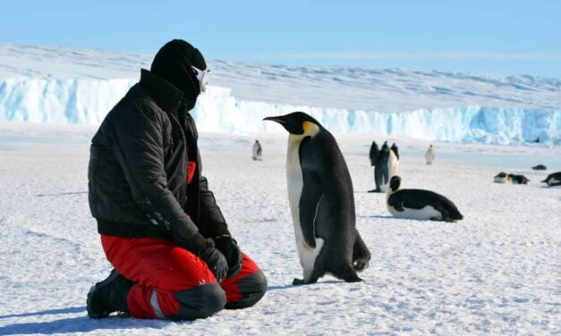 A new accent from ‘Antarctica’ has been discovered by scientists