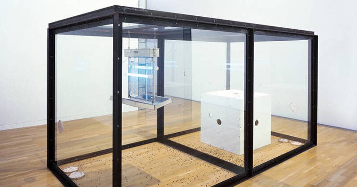 Museum Art Installation Removed for Infringing on the Rights of Flies
