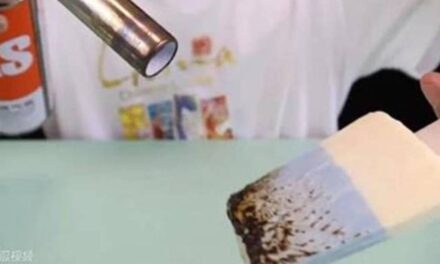 Chinese Company Under Fire Because Its Ice Cream Doesn’t Melt