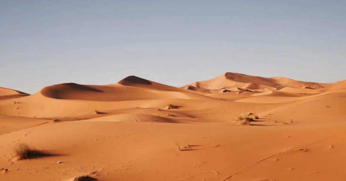 Startup Turns Desert Sand Into Fertile Soil in Just Seven Hours