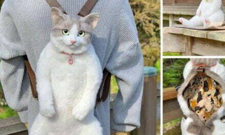 Japanese Housewife Creates Insanely Realistic Cat-Shaped Handbags