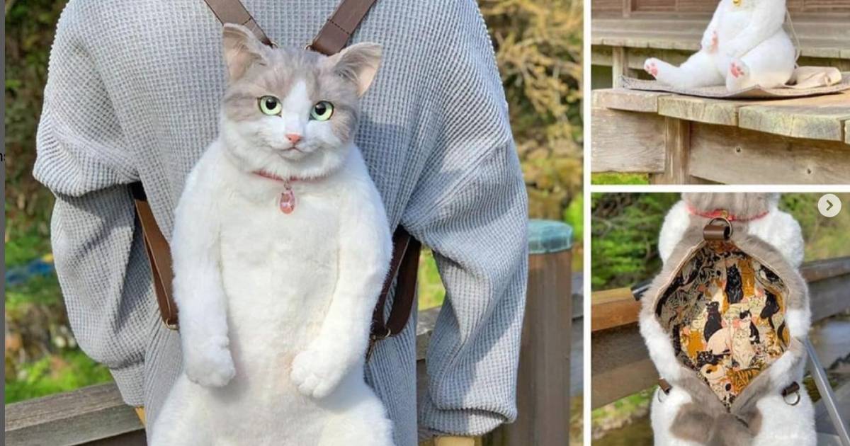 Japanese Housewife Creates Insanely Realistic Cat-Shaped Handbags