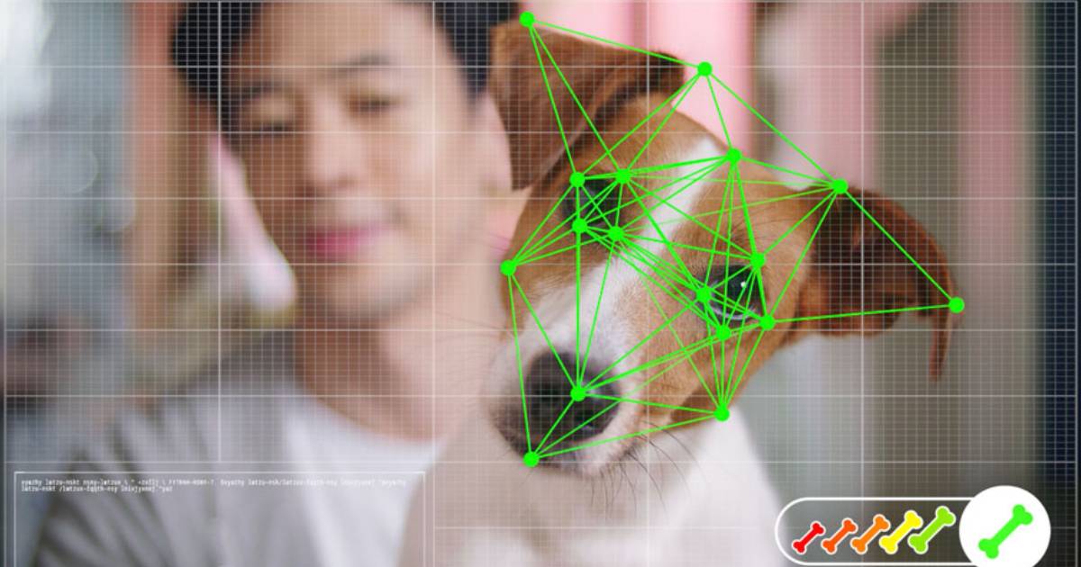 Online Pet Store Uses Face Recognition Technology to Allow Dogs to Do Their Own Shopping