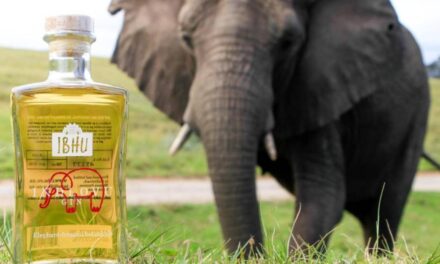 This Premium Gin Is Made From Distilled Elephant Dung