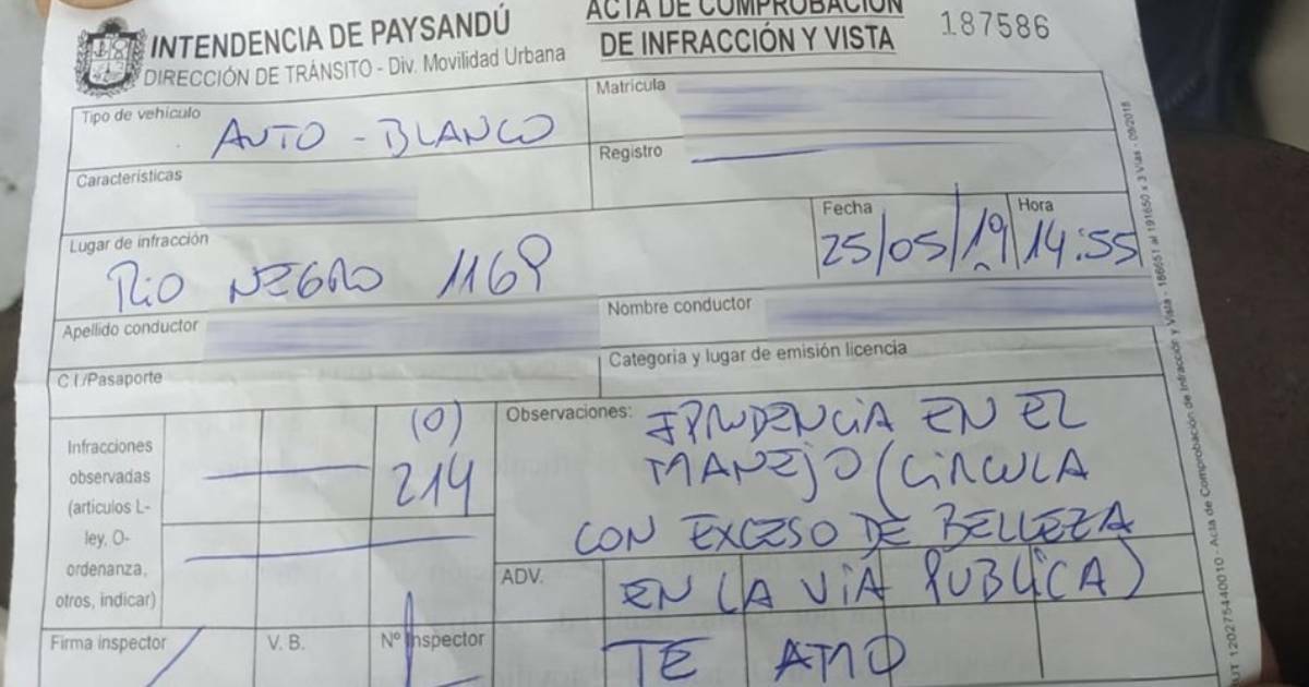 Flirty Traffic Agent Fines Female Driver for “Excessive Beauty on Public Roads”