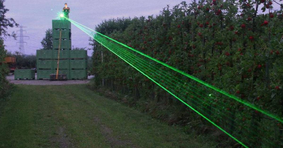 Modern Scarecrows Use Lasers to Keep Hungry Birds At Bay