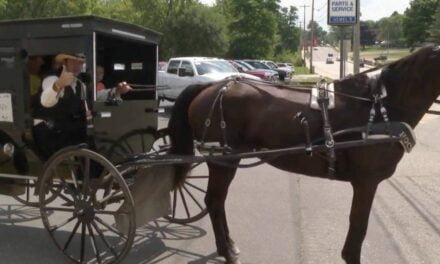 Amish Man Launches Uber-Like Service with Horse and Carriage