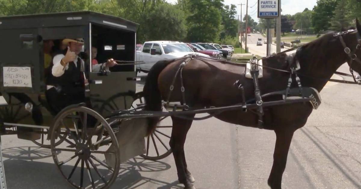 Amish Man Launches Uber-Like Service with Horse and Carriage