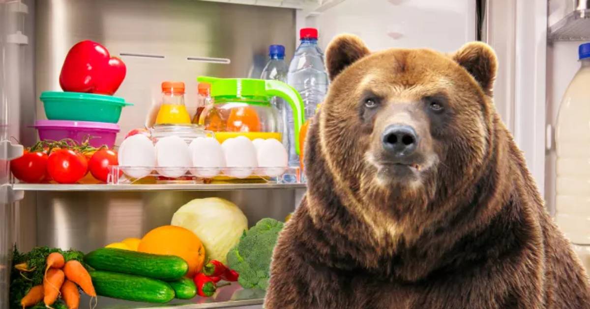 Russian Couple Share Their Home with a Full-Grown Brown Bear