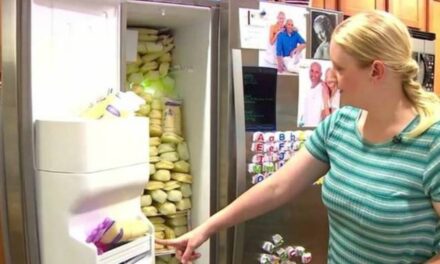 Oregon Mother Donates 2.5 Tonnes of Breast Milk to Families Who Need It