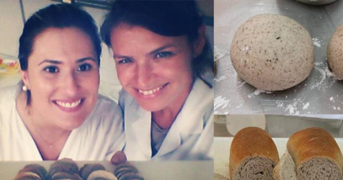 Brazilian Scientists Bake Bread Out of Cockroach Flour