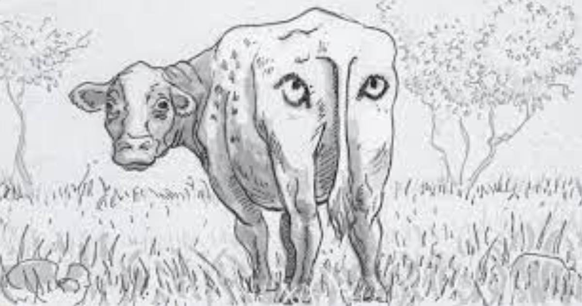 Scientists Draw Eyes on the Butts of Cows to Protect Them from Lions