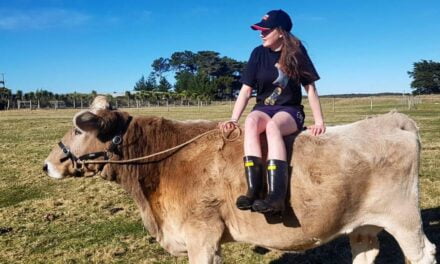 Girl Turns to Cow Riding After Being Denied a Horse