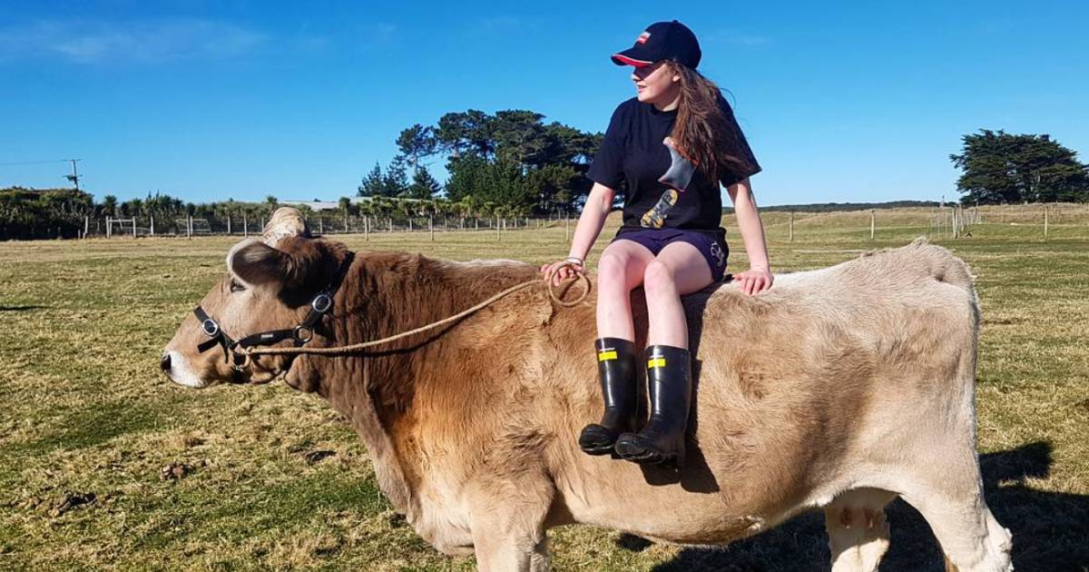 Girl Turns to Cow Riding After Being Denied a Horse