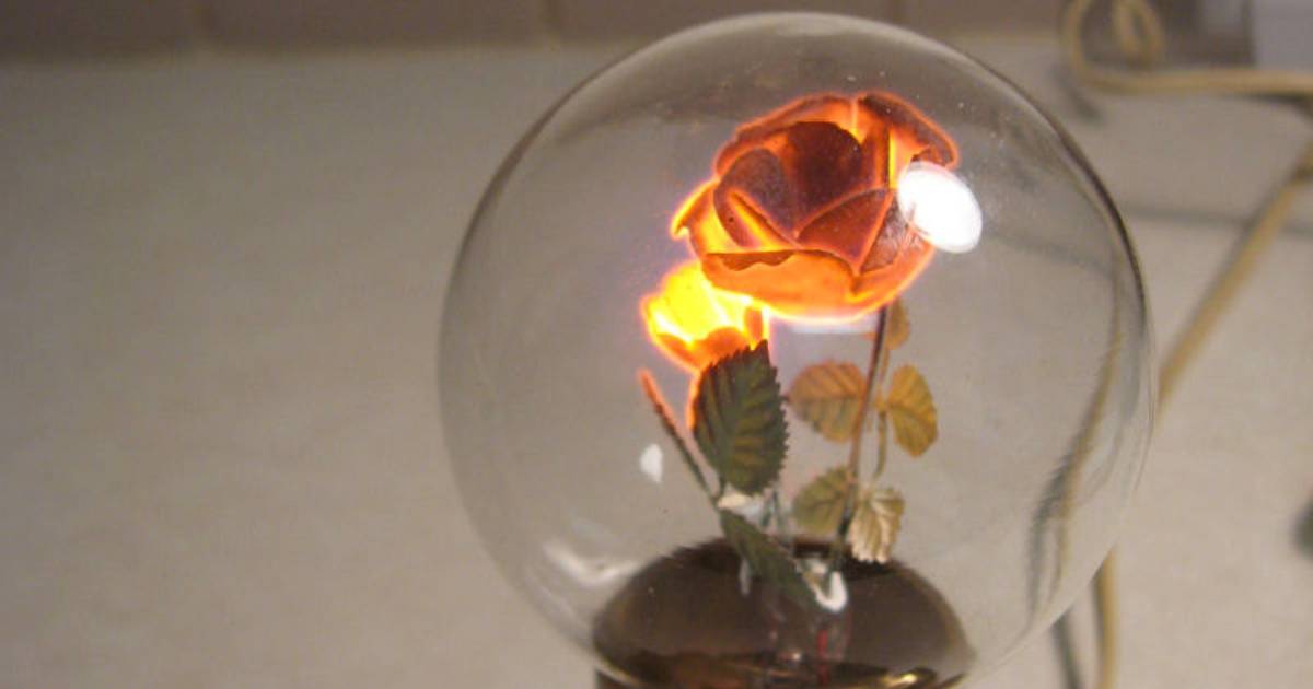 Flower Light Bulbs – Forgotten Wonders of the Mid 1900s