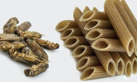 French Noodle Maker Is Struggling to Keep Up with Demand for Insect Pasta