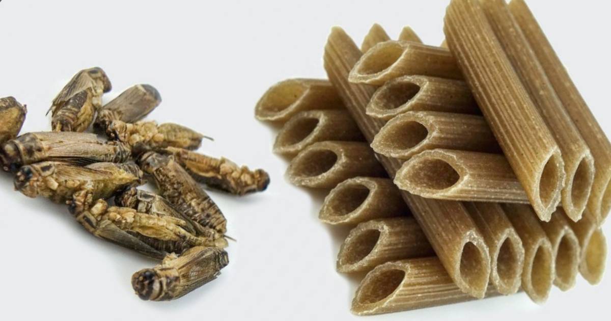 French Noodle Maker Is Struggling to Keep Up with Demand for Insect Pasta