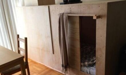 San Francisco Man Pays $500 a Month to Live in a Wooden Box