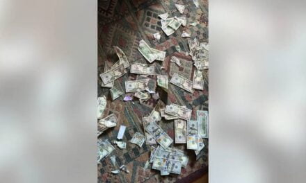 Dog shocks Pennsylvania family by chowing down on $4K in cash: ‘Shredded all over the room’