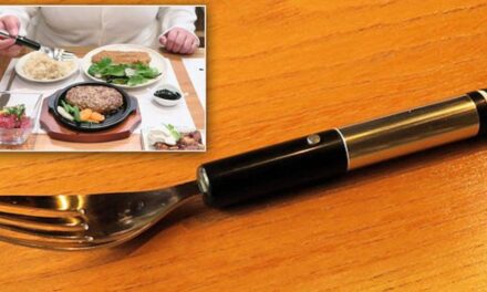 Japanese Researchers Creates Electric Fork That Alters the Taste of Food