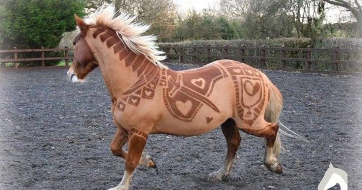 Artist Specializes in Free-Hand Artistic Haircuts for Horses