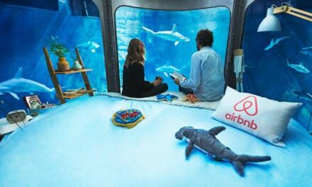 Airbnb Is Giving You the Chance to Sleep Surrounded by 35 Full-Grown Sharks