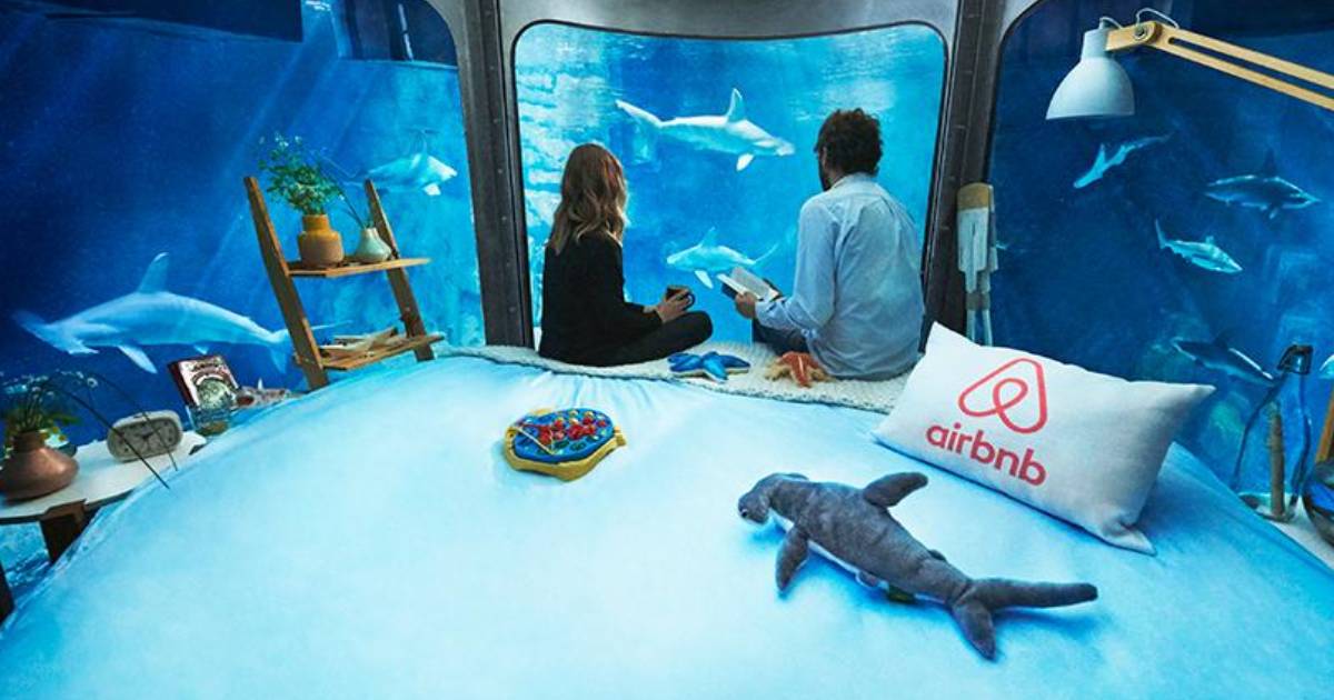 Airbnb Is Giving You the Chance to Sleep Surrounded by 35 Full-Grown Sharks