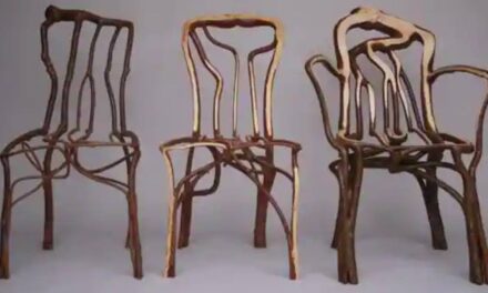 UK Company Is Growing Furniture by Molding Trees into Chairs, Tables or Lamps