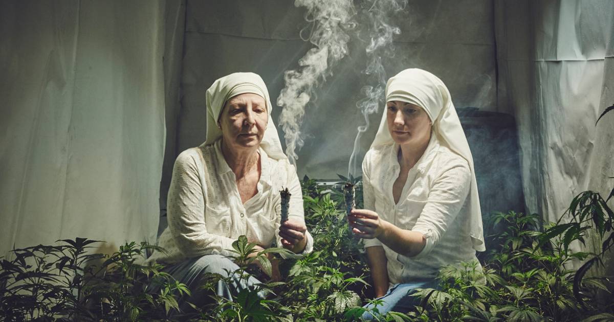 The Sisters of the Valley – California’s Famous Pot-Growing Nuns