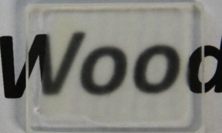 Researchers Create Transparent Wood That Could One Day Replace Glass in Windows