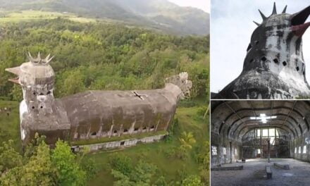 Eccentric Man Builds Giant “Chicken Church” in the Middle of Indonesian Jungle