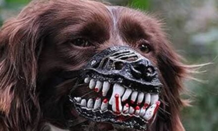 This Muzzle Will Turn the Cutest Dog into a Scary Werewolf