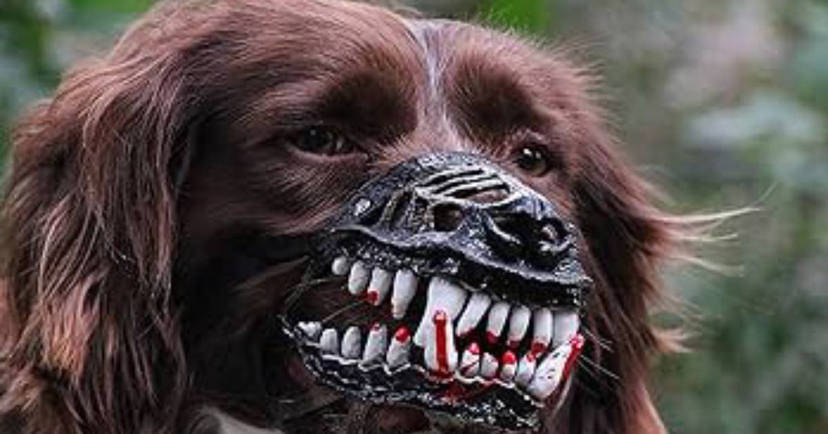 This Muzzle Will Turn the Cutest Dog into a Scary Werewolf