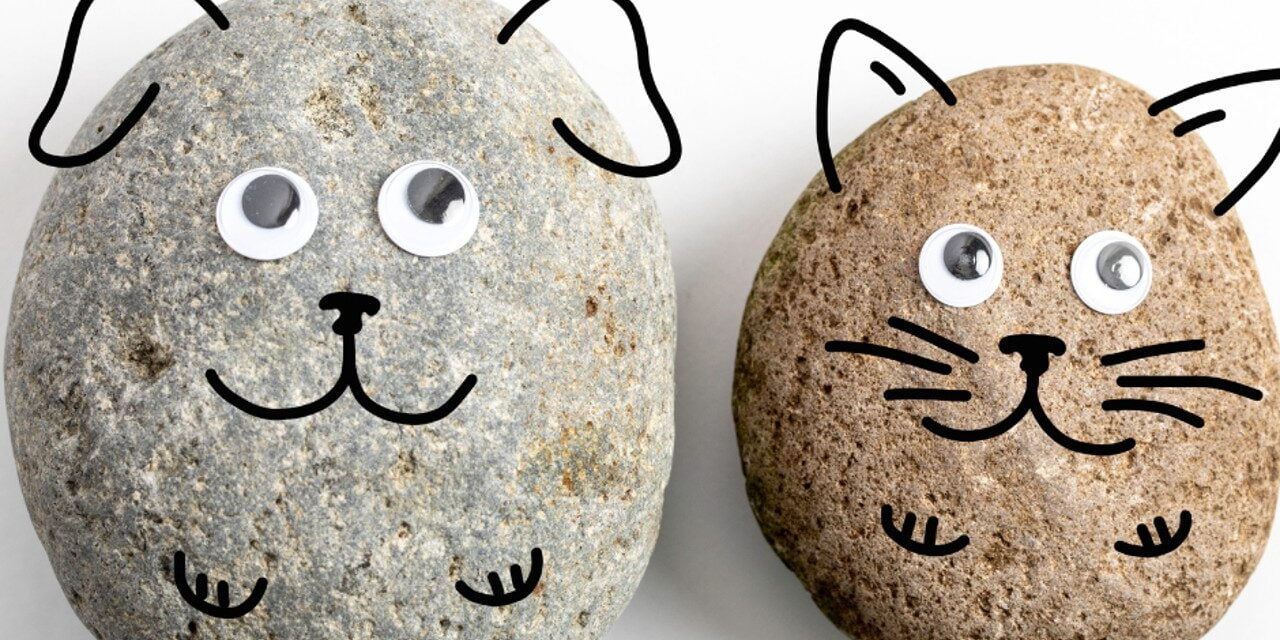 The Man Who Made Millions by Selling Rocks as Pets