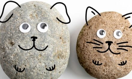 The Man Who Made Millions by Selling Rocks as Pets