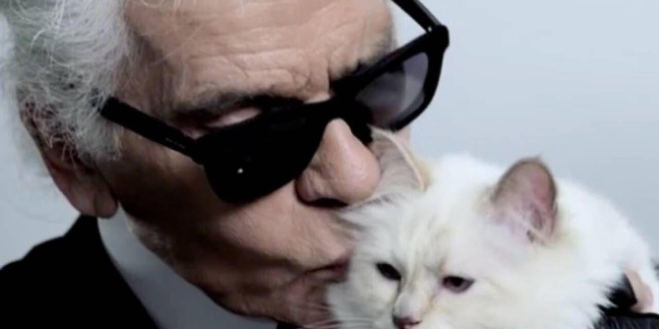 Karl Lagerfeld’s Modelling Pet Cat Earns Way More Money than You