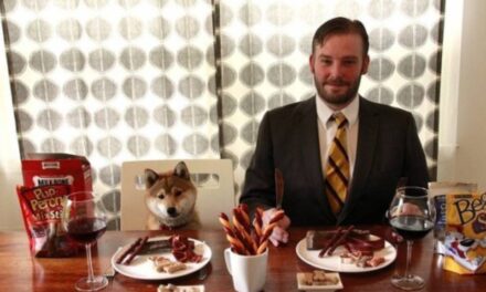 Professional Dog Food Taster Is Actually a Real Job