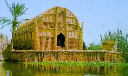 Venice of the Middle-East: The Floating Basket Homes of Iraq