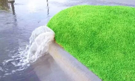 Grass Waterbeds – The Hydrologic Oddity Known as Lawn Blister