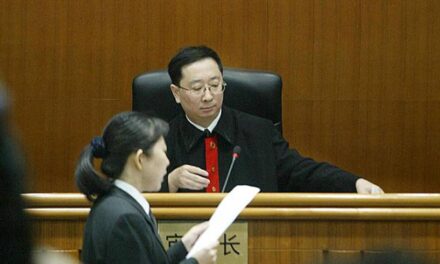 Chinese Parents Take Their Son to Court to Force Him to Get a Job