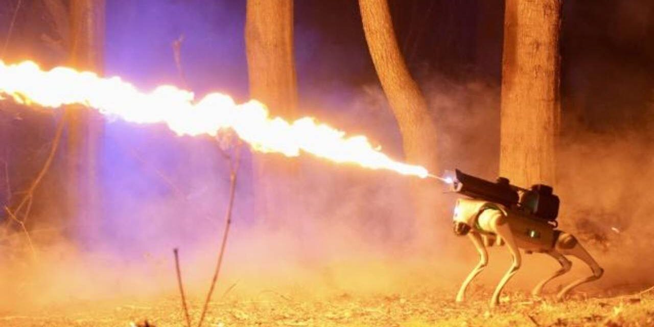 WHAT COULD GO WRONG? COMPANY SELLING ROBOT DOG WITH ATTACHED FLAMETHROWER