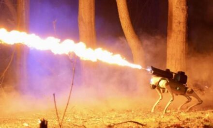 WHAT COULD GO WRONG? COMPANY SELLING ROBOT DOG WITH ATTACHED FLAMETHROWER