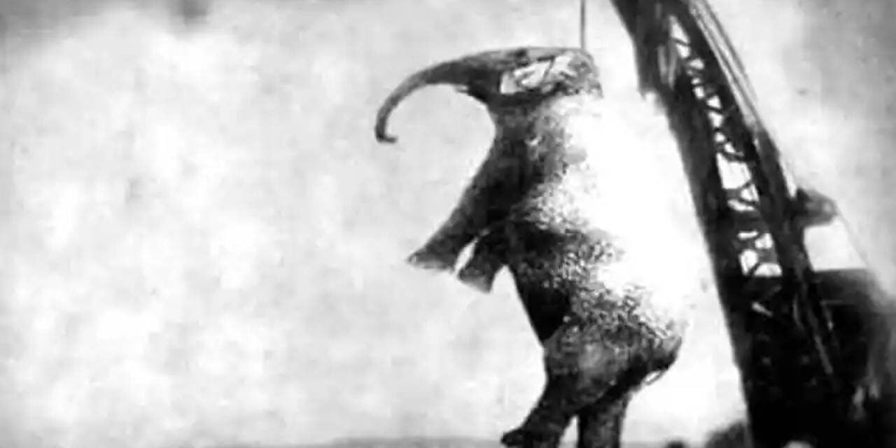 The Town That Hanged an Elephant – The Chilling Story of Murderous Mary